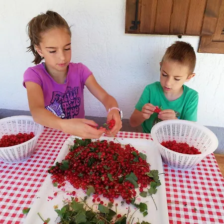 Фермерский дом Agritur Le Vale